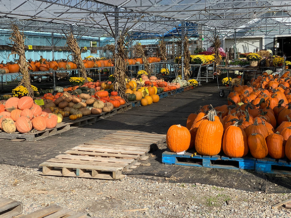 Andy T's Farm Market