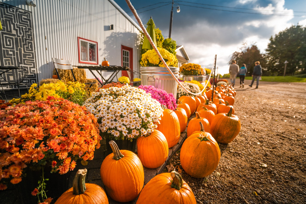 Phillip's Orchard & Cider Mill